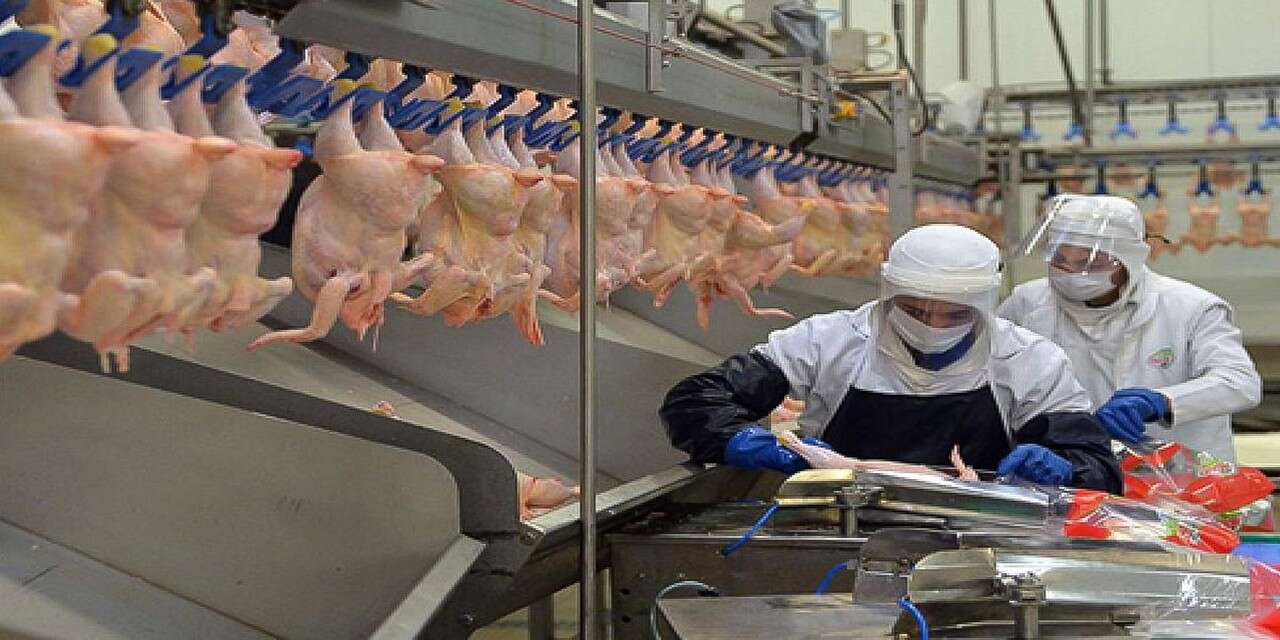 Beyaz Et Sektörüne Dev Operasyon: 32 Gözaltı, 13 Şirkete Kayyum