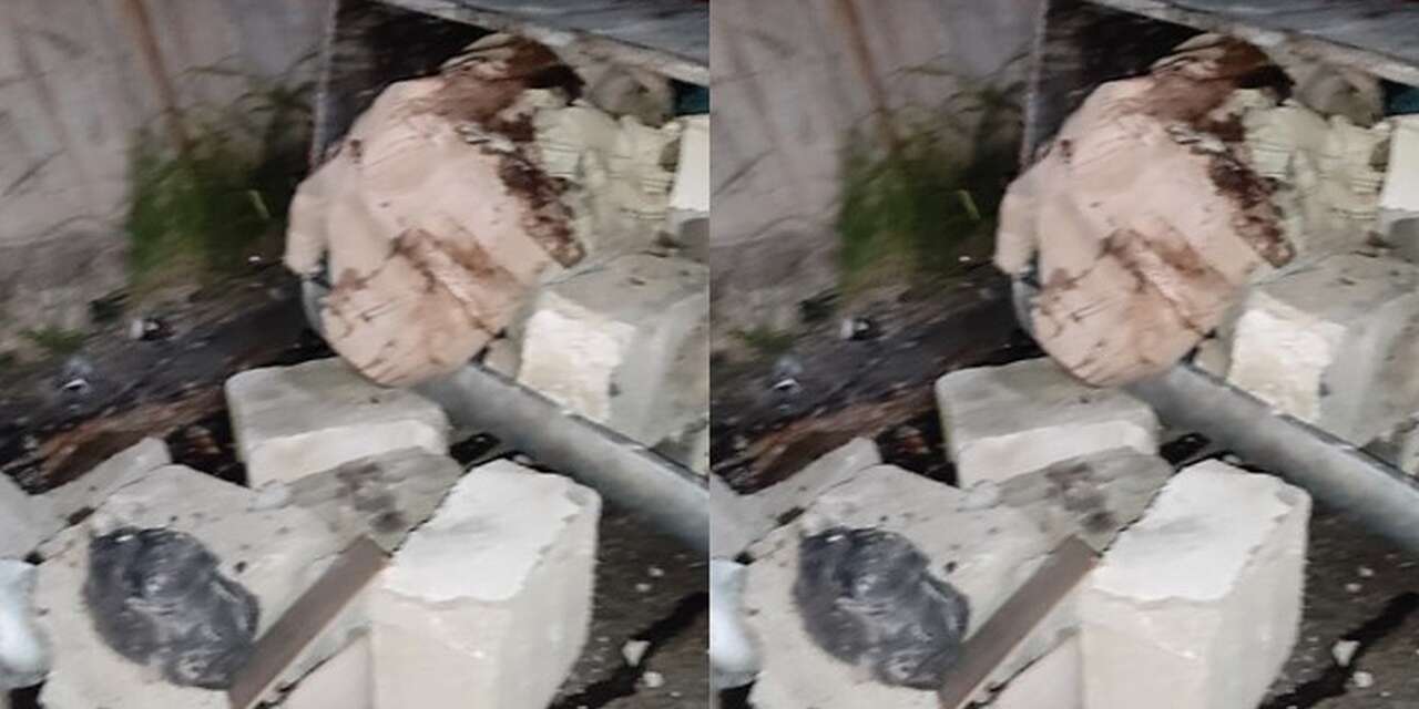 Belediye yeniledi, bazıları zarar verdi