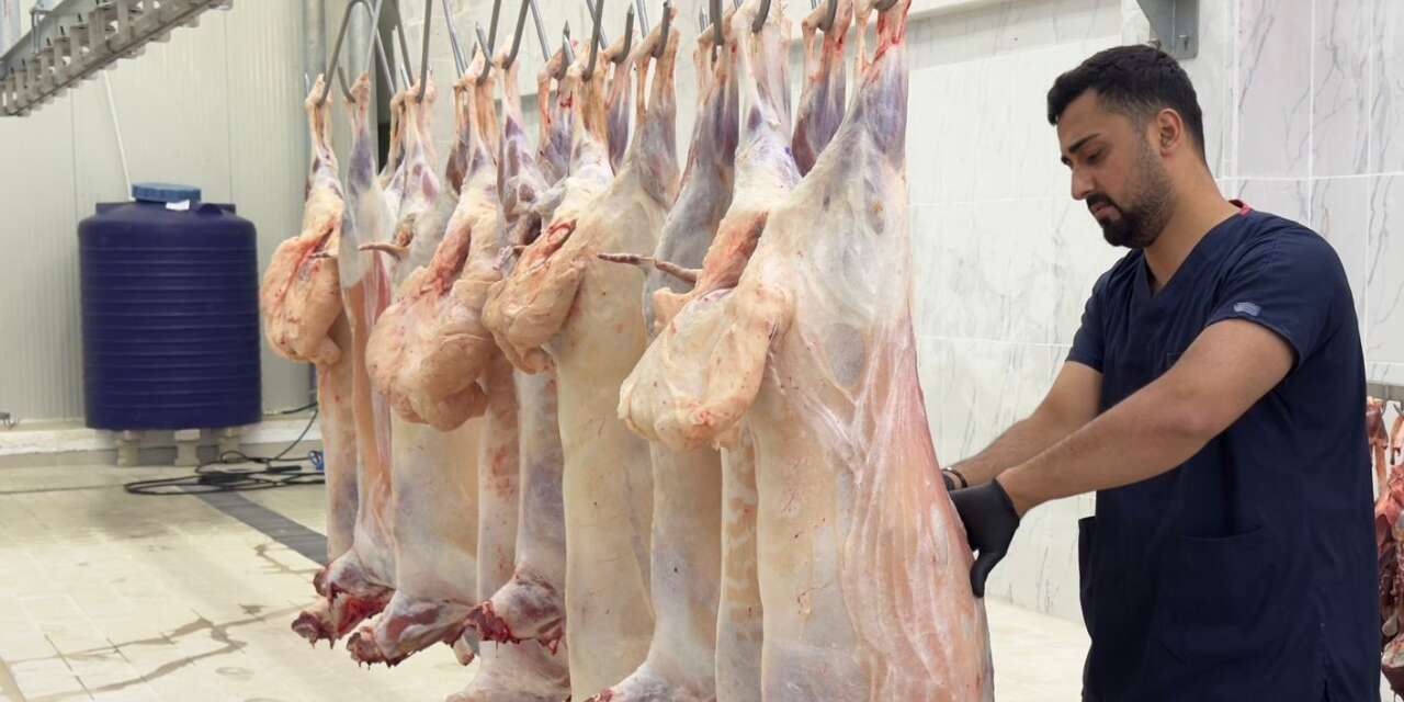 Hakkari Belediyesi’nden güvenli et hizmeti
