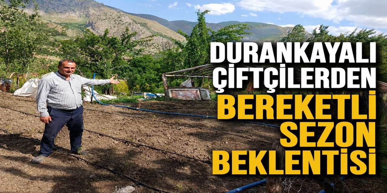 Durankaya’da Çiftçiler bereketli hasat bekliyor