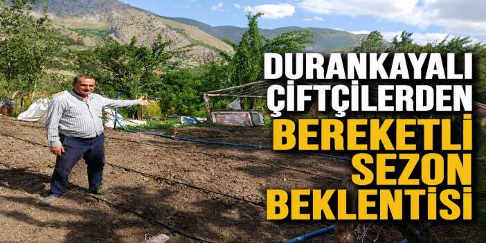 Durankaya’da Çiftçiler bereketli hasat bekliyor