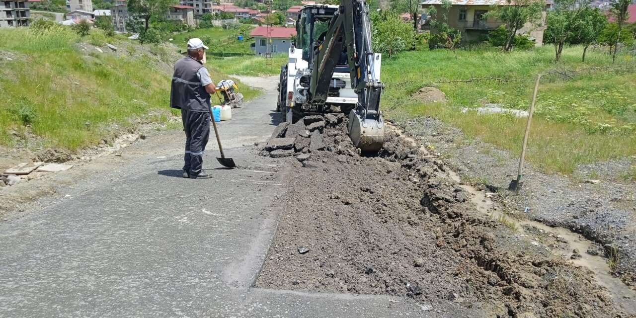 Hakkari Belediyesi hafta sonu da sahada