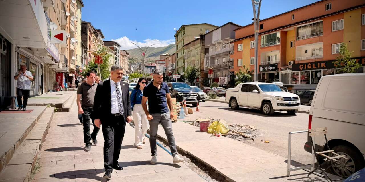 Başkan Yardımcısı Vekili Burak Gürbüz sahada çalışmaları denetledi