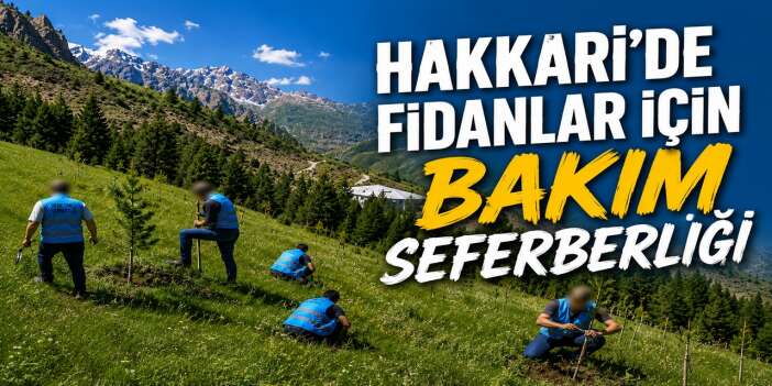 Hakkari denetimli serbestlikten fidanlara bakım seferberliği