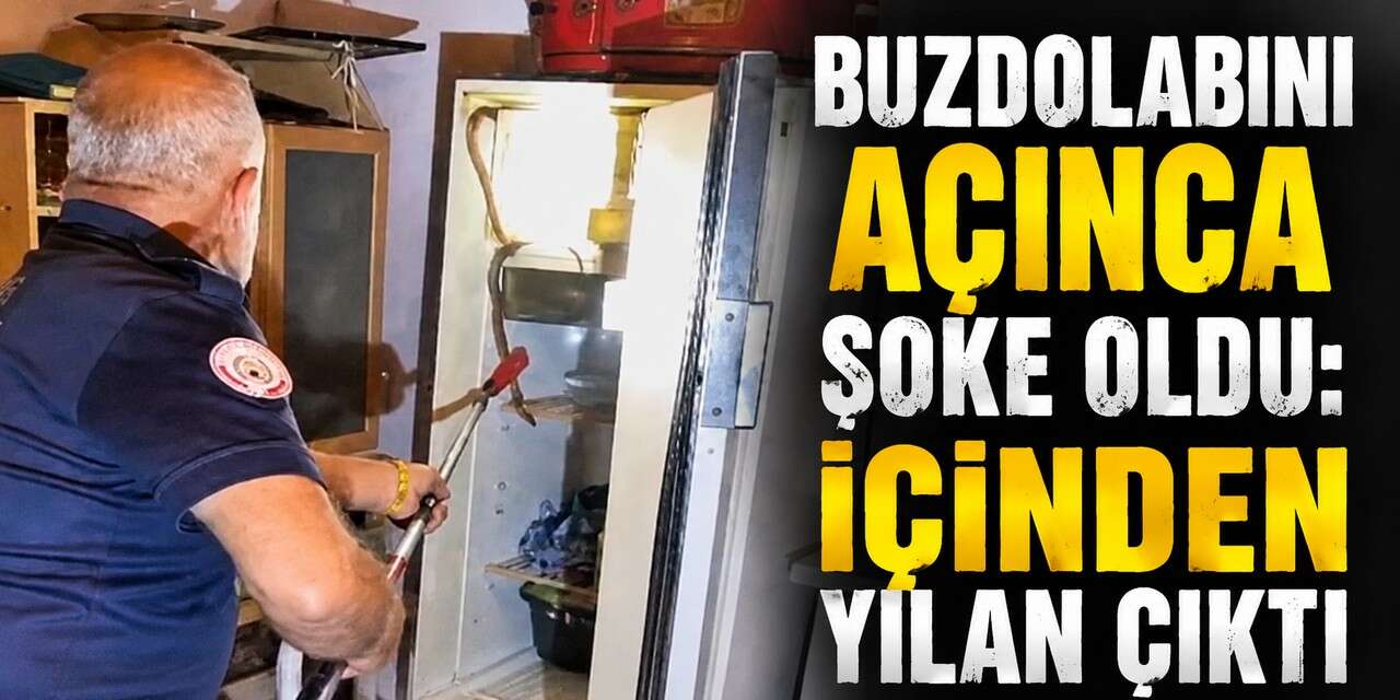 Yılan Buzdolabına girdi, itfaiye ekipleri seferber oldu