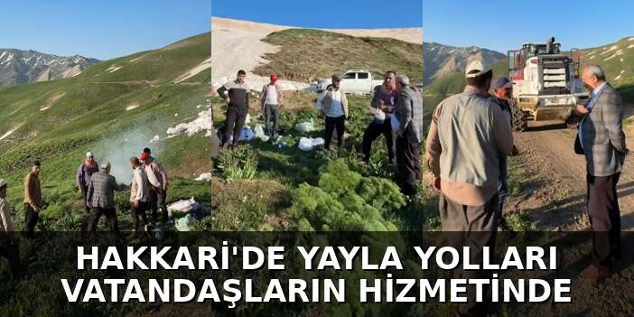 Hakkari’de Yayla Yolları Vatandaşların Hizmetinde