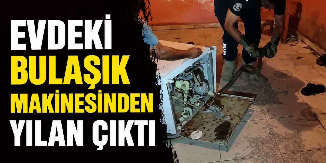 Bulaşık makinesinden yılan çıktı