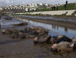 Halep'te Kan Donduran Katliam!