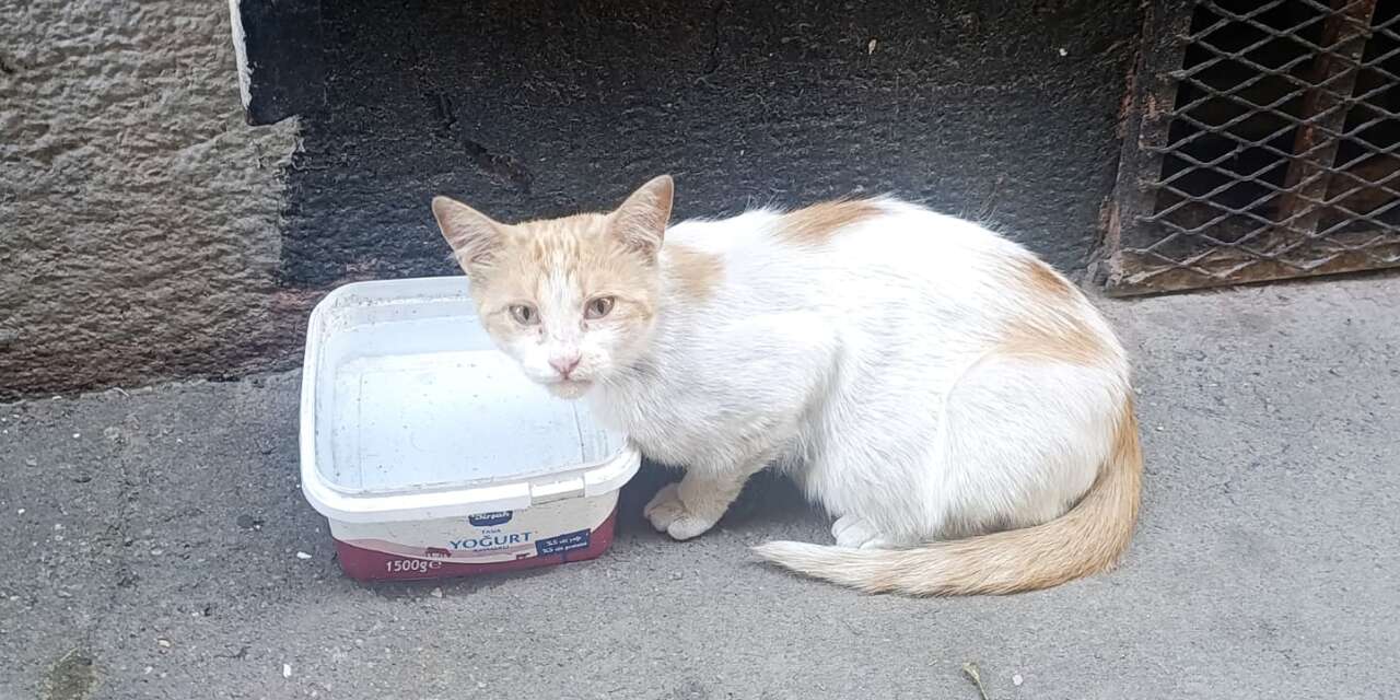 Suriçi Esnafından Yürek Isıtan Hareket