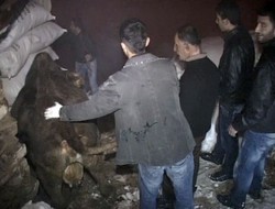 Hakkari'de 1 ahır çığ altında kaldı