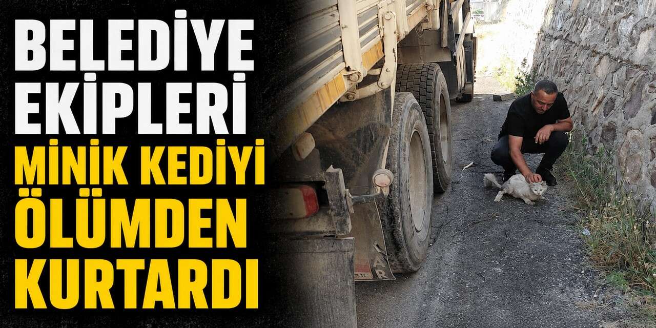 Hakkari’de kamyonun altına sıkışan kedi kurtarıldı