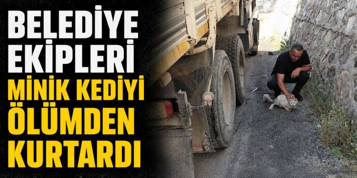 Hakkari’de kamyonun altına sıkışan kedi kurtarıldı