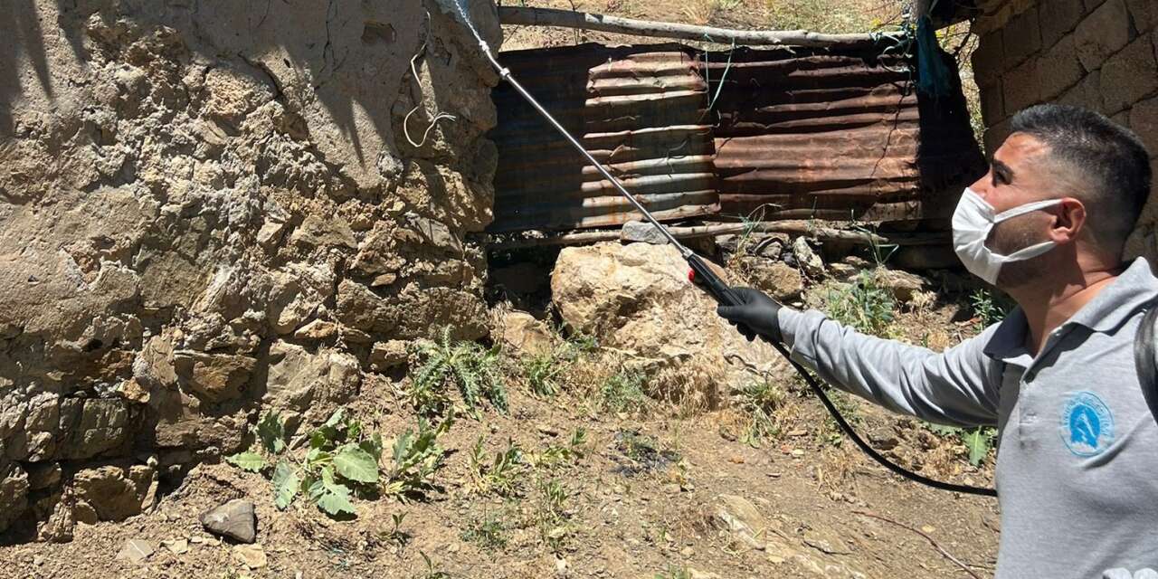 Hakkari’de Haşereye geçit yok! Ekipler gece gündüz sahada