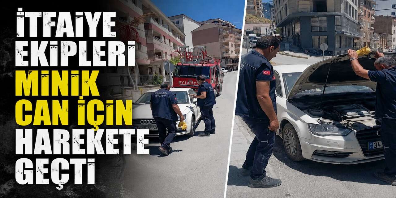 Araca sıkışan yavru kedi itfaiye tarafından kurtarıldı