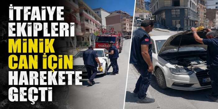 Araca sıkışan yavru kedi itfaiye tarafından kurtarıldı
