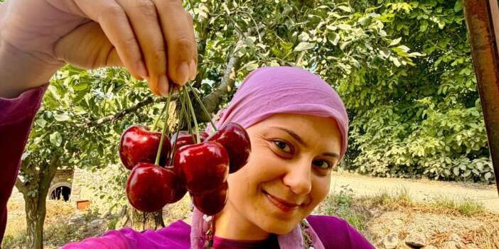 Afyonkarahisar'da kiraz hasadı başladı