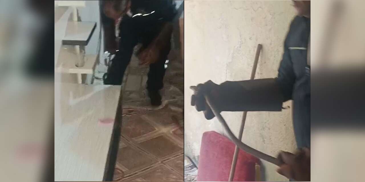 Hakkari'de eve giren yılan paniğe neden oldu