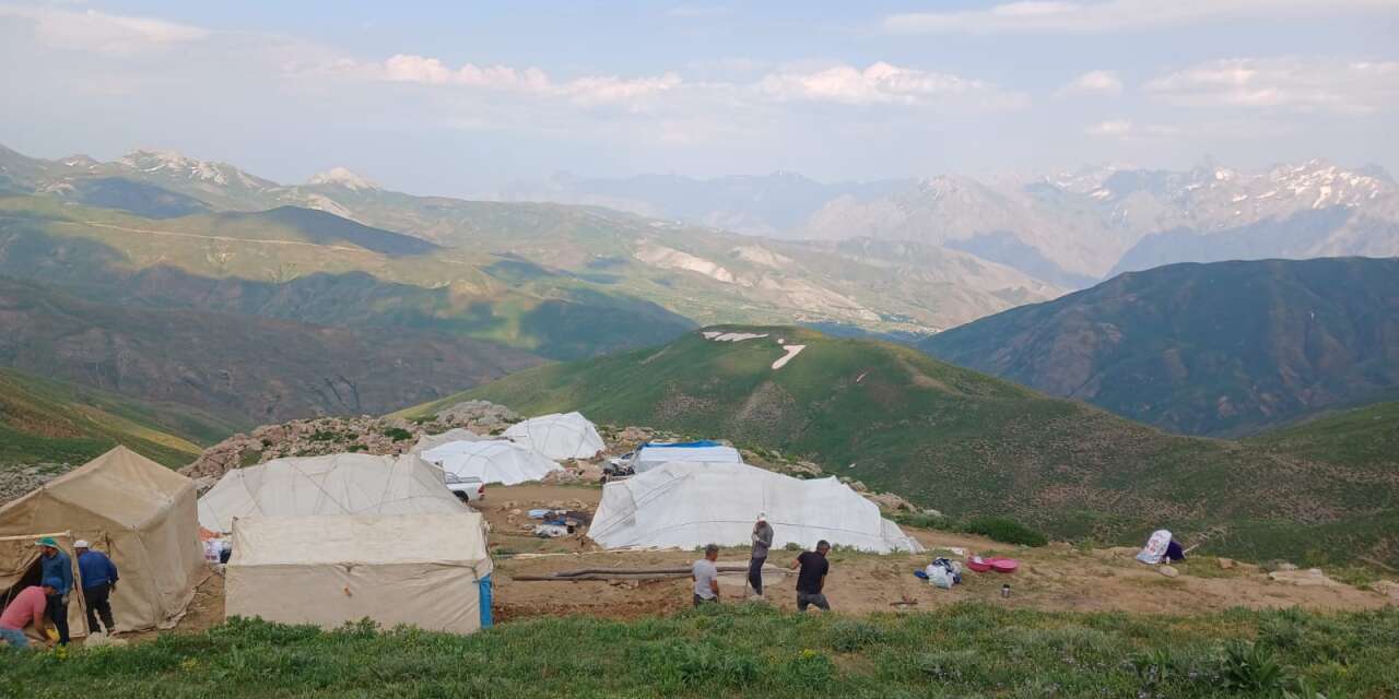Hakkari Durankaya yaylalarında çadırlar kuruldu