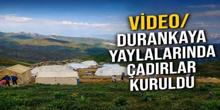 Hakkari Durankaya yaylalarında çadırlar kuruldu