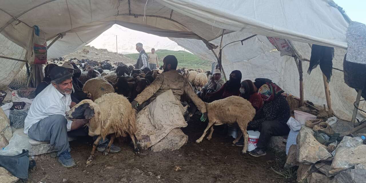 Hakkari'de kayak pistleri yerini yayla bereketine bıraktı