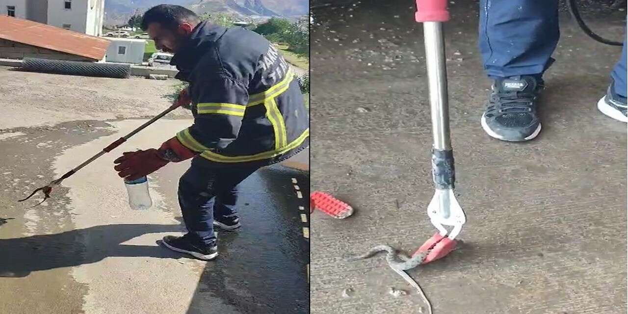 Hakkari’de itfaiyenin yılan mesaisi sürüyor