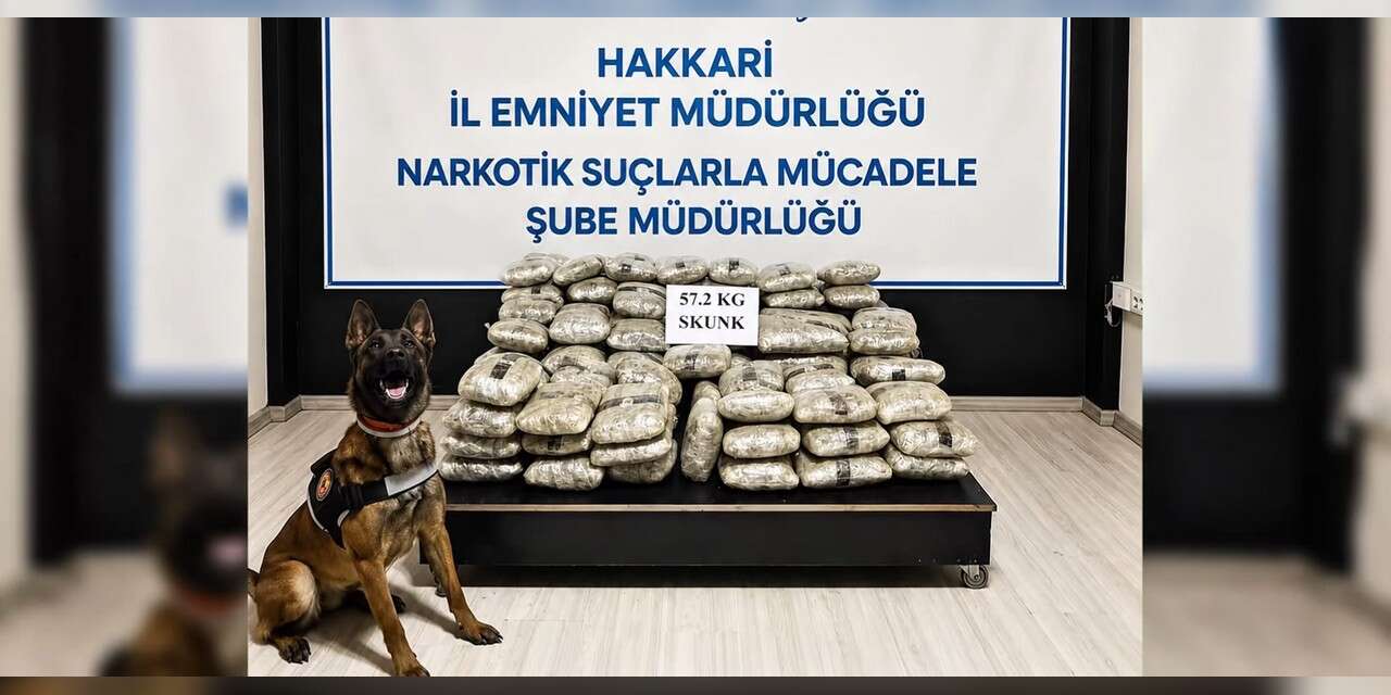 Hakkari’de 57 kilo 200 gram skunk ele geçirildi