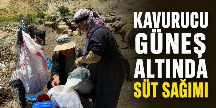 Berivanların kavurucu sıcakta ekmek mücadelesi