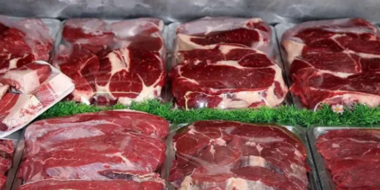 Sucuk ve kıymada at ve eşek eti çıktı