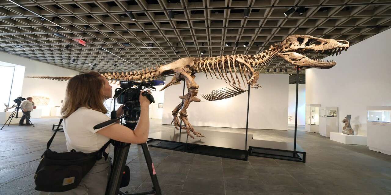 Tayland'da yeni dinozor türü keşfedildi
