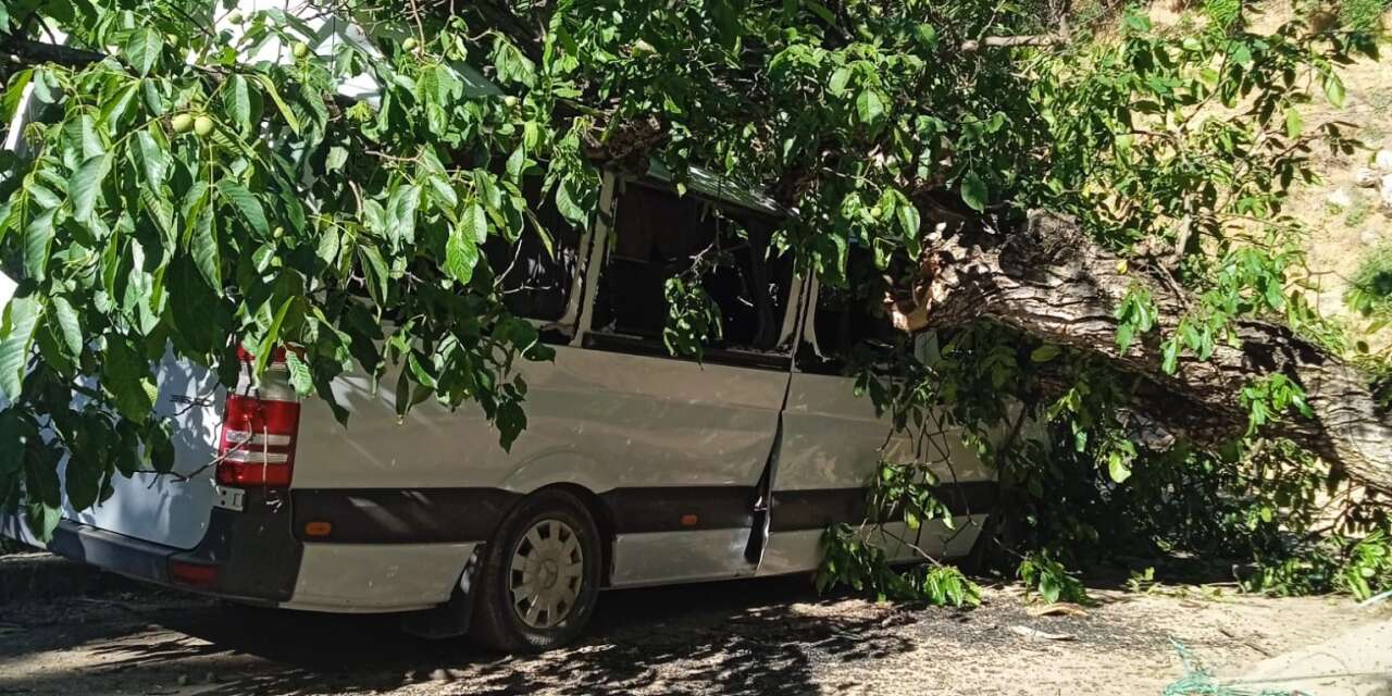 Hakkari’de Ceviz ağacı aracın üzerine düştü