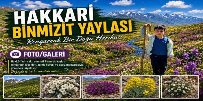 Bilmizit Yaylası rengarenk
