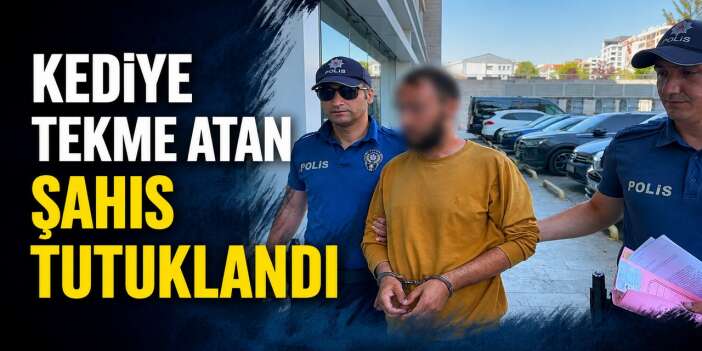 Kediye tekme attı tutuklandı