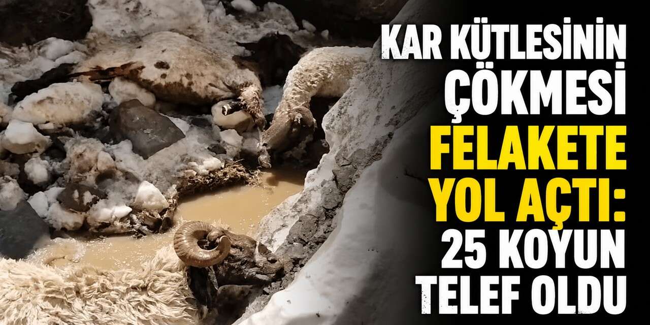 Kar kütlesinin çökmesi felakete yol açtı