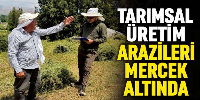 Tarım ekipleri Yüksekova'da köy köy denetim yapıyor