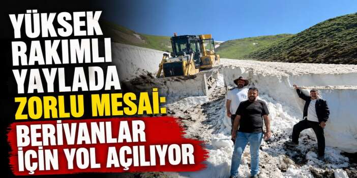 Yüksek Rakımlı Yaylada zorlu mesai: Berivanlar için yol açılıyor