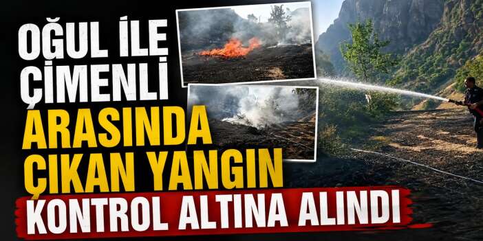 Hakkari'de ot yangını büyümeden söndürüldü
