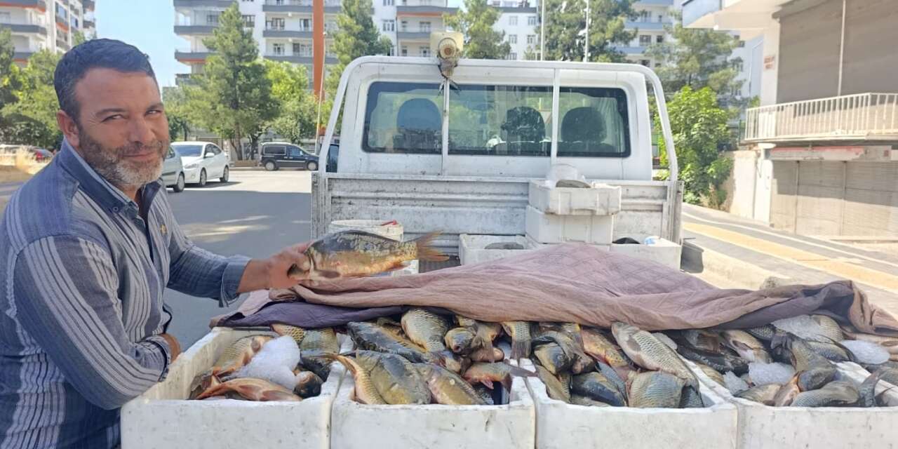 Diyarbakır'da 50 TL'ye balık satarak takdir topladı