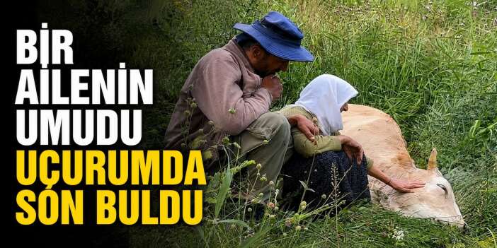 İneğin telef olması aileyi yasa boğdu
