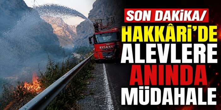 Hakkâri-Çukurca Karayolunda çıkan yangın kontrol Altına alındı