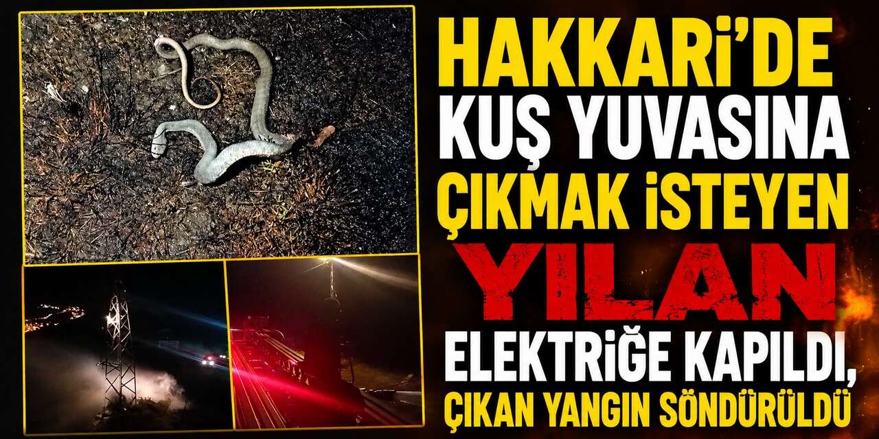 Kuş yuvasına çıkanı yılan elektriğe kapıldı, çıkan yangın söndürüldü