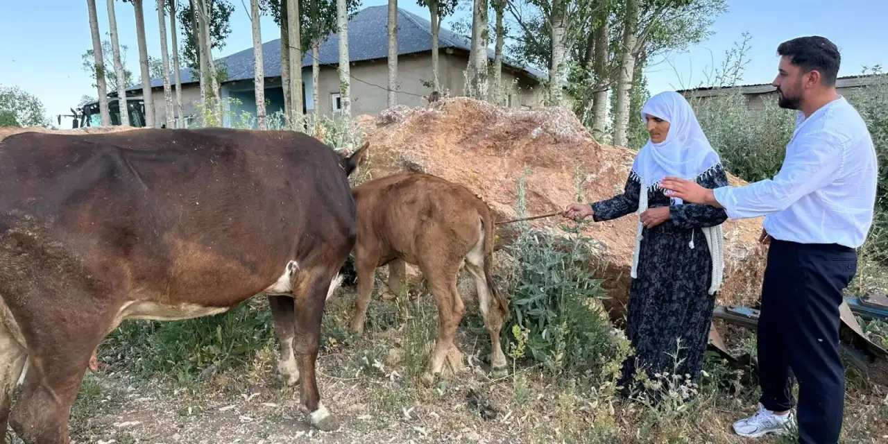 İneği telef olan aileye Onur Akman’dan destek