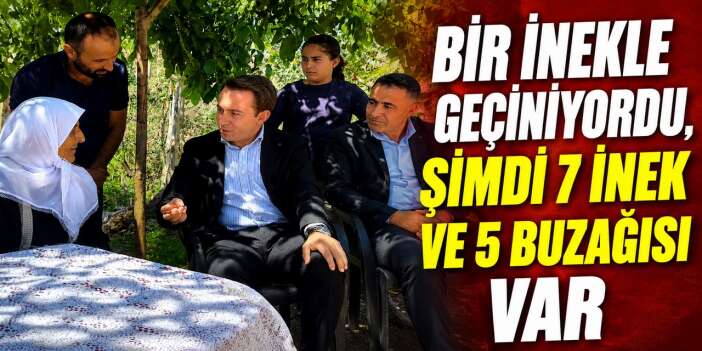 Bir ineğini kaybetti, 12 büyükbaş hayvana kavuştu