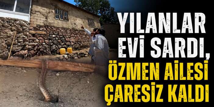 Yılanlar evi sardı, Özmen ailesi çaresiz kaldı