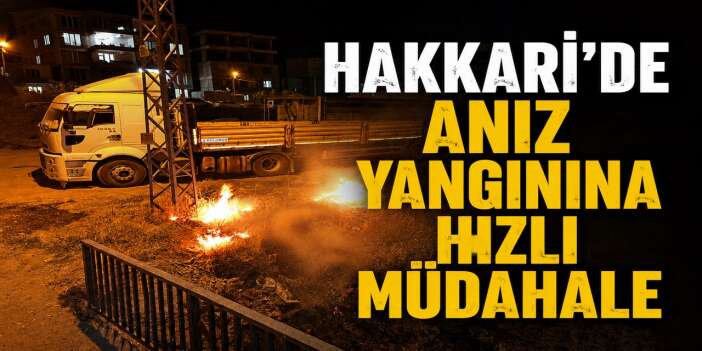 Hakkari'de anız yangınına hızlı müdahale