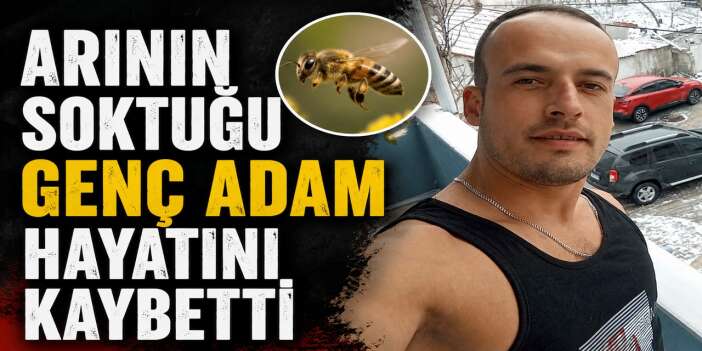 Arı sokması can aldı