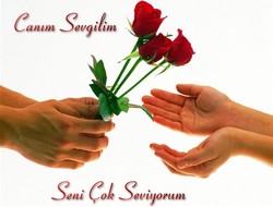 Hakkari'de ilginç sevgililer günü önerisi