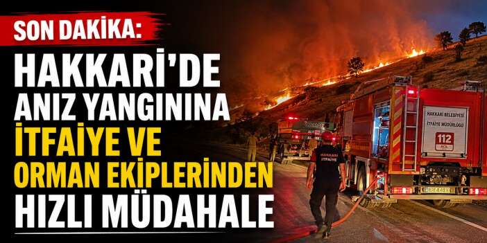 Hakkari'de büyük anız yangını! Ekipler seferber oldu