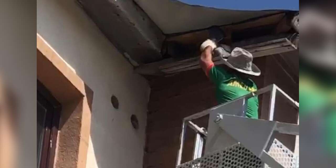Hakkari'de çatıda mahsur kalan güvercini itfaiye kurtardı