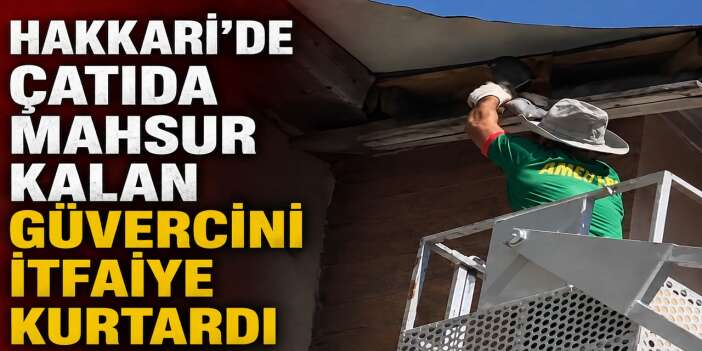 Hakkari'de çatıda mahsur kalan güvercini itfaiye kurtardı
