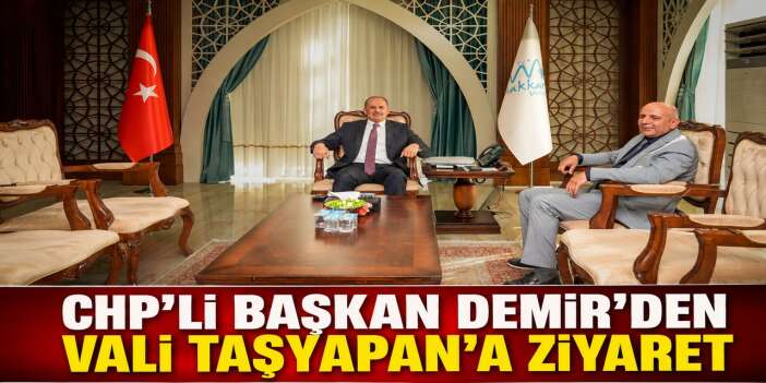 Başkan Demir'den Vali Taşyapan'a ziyaret